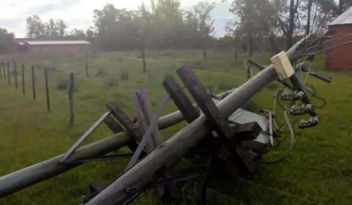 La tormenta en Gualeguaychú derribó más de 80 postes