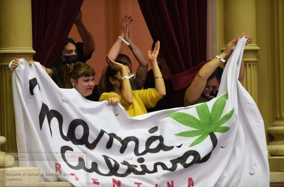 El presidente Alberto Fernández promulgó la Ley de Cannabis Medicinal y Cáñamo Industrial