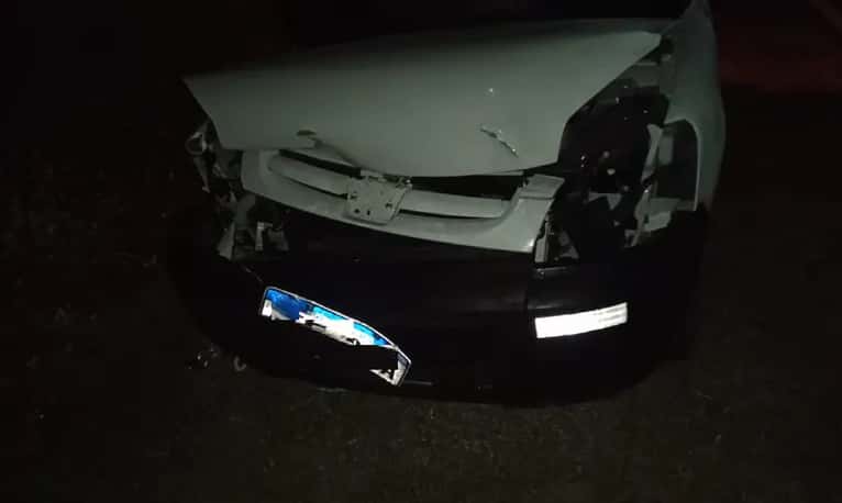 Un conductor impactó contra un guazuncho en una ruta entrerriana