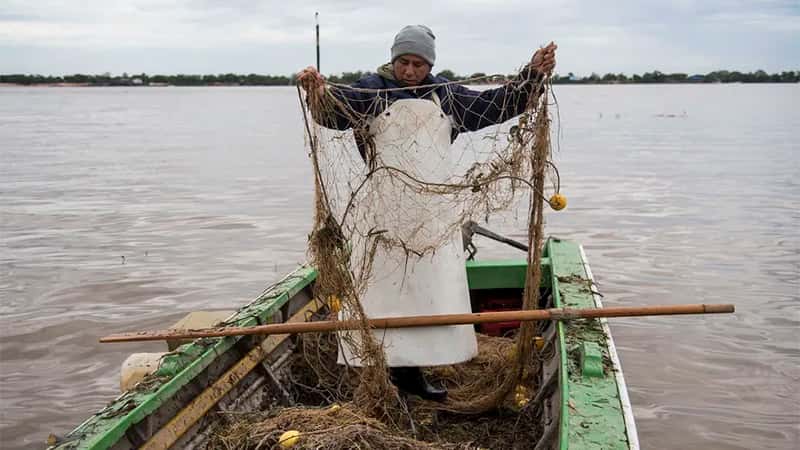 Aseguran que el río Paraná tiene cada vez menos peces