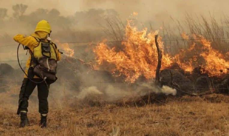 Detectan nuevos incendios forestales en el Delta entrerriano