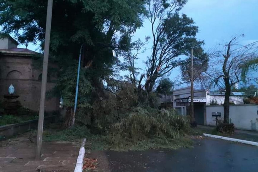 Temporal en Colón: hubo voladuras de techos, caídas de árboles y cortes de cables