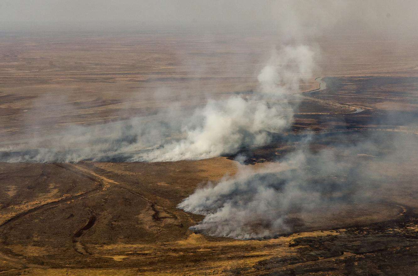 La Justicia Federal ya identificó a todos los dueños de las tierras quemadas en el Delta del Paraná
