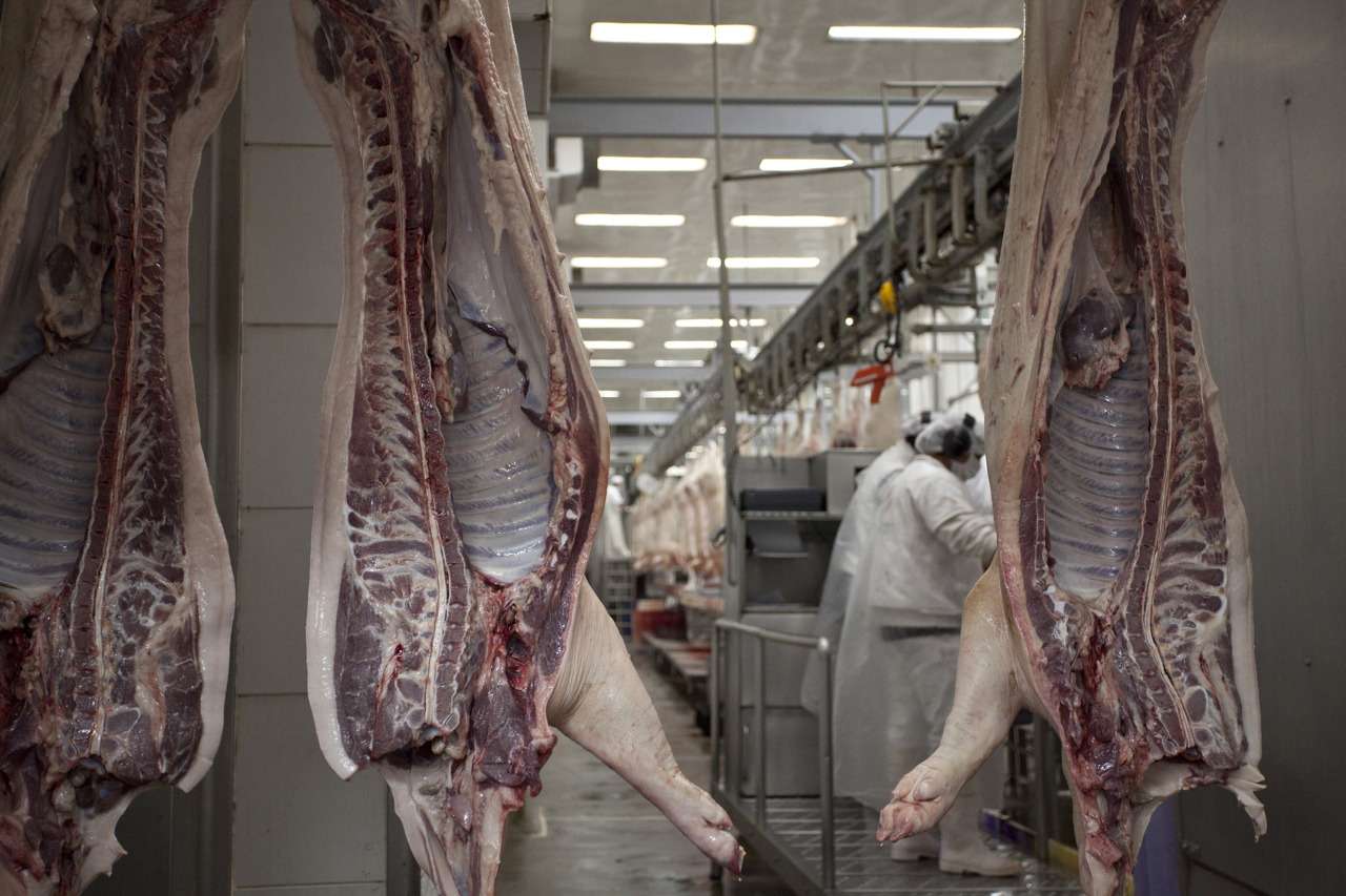 Singapur habilita la importación para la carne y productos porcinos argentinos