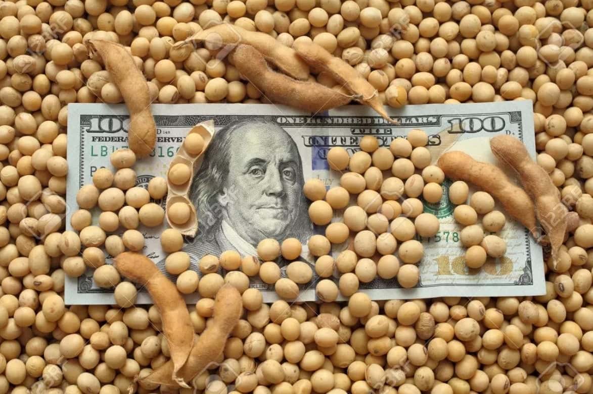Dólar soja: bancos ofrecen plazos fijos UVA a 3 meses a los productores