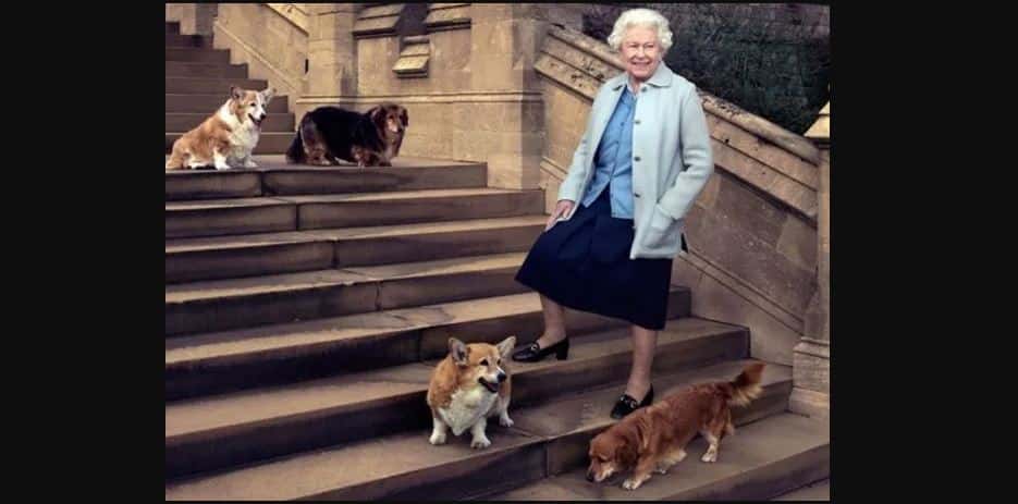 Le consiguieron dueño a los perros corgi de la reina Isabel II