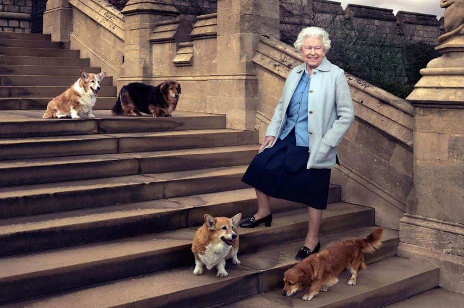 El triste destino de dos de los perros de la Reina Isabel tras su fallecimiento