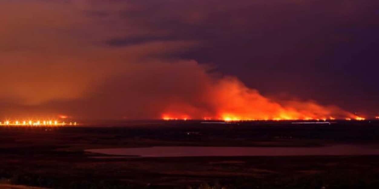Por primera vez, llegan a juicio dos causas por incendios intencionales en el Delta del Paraná