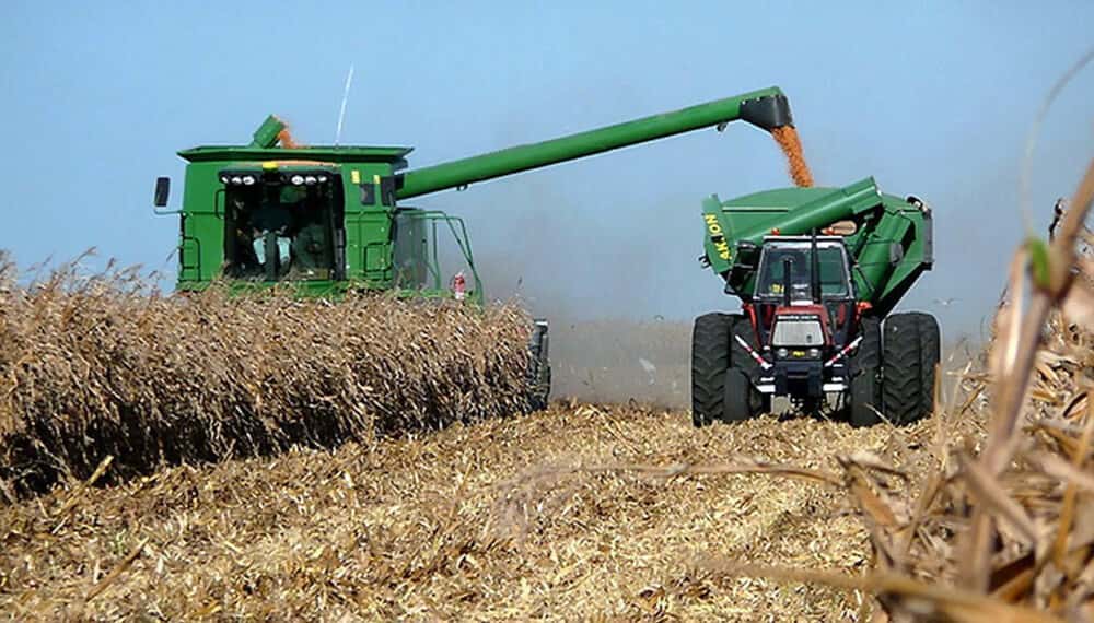 ¿Cuánto debe cosechar de maíz el productor para cubrir los costos?