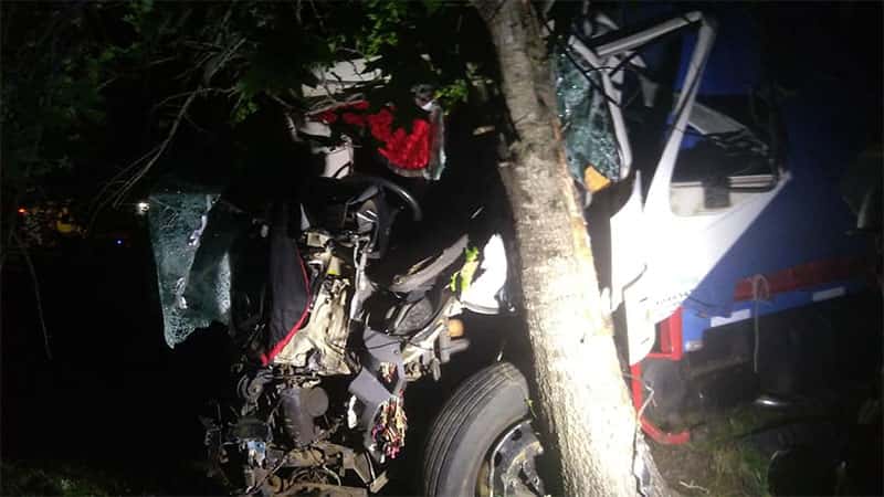 Un camión chocó contra un árbol: el conductor y su acompañante fueron hospitalizados