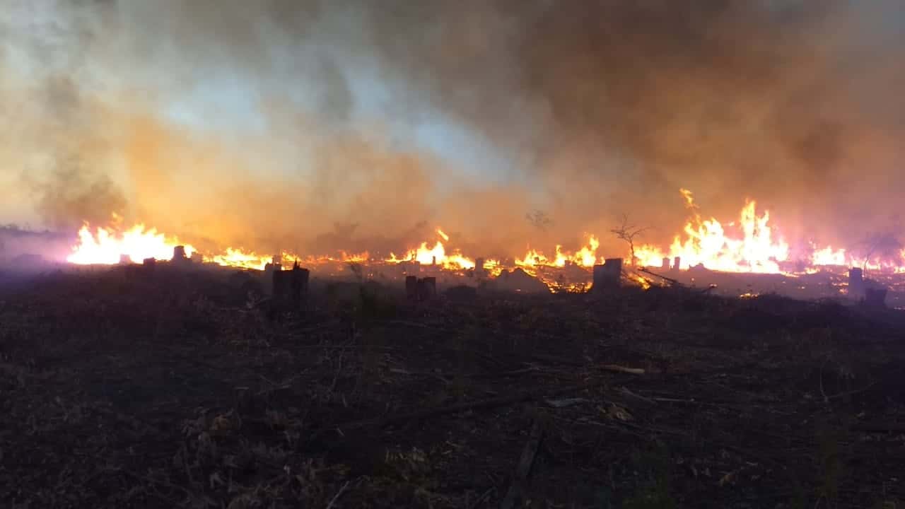 Cuatro dotaciones de Bomberos combatieron y extinguieron un incendio en un campo de Costa Uruguay Sur