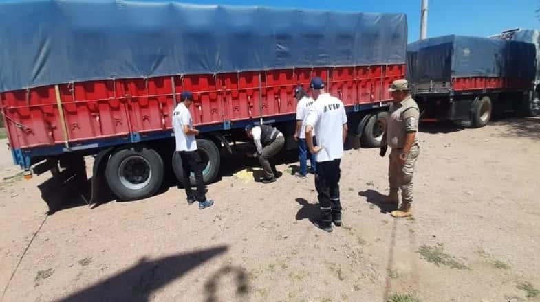 En Entre Ríos incautaron camiones con granos en negro