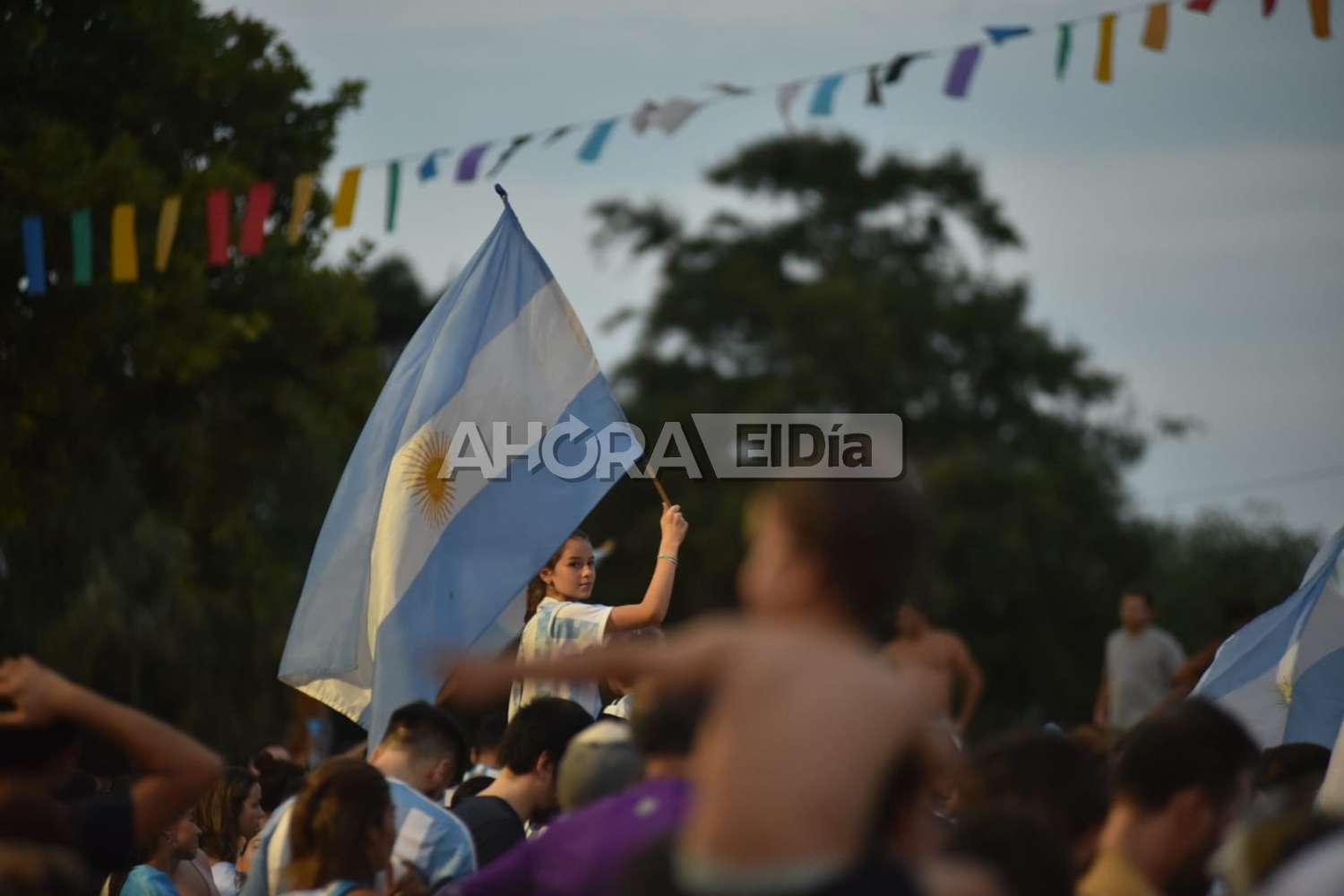 festejos argentina holanda gualeguaychú - 6