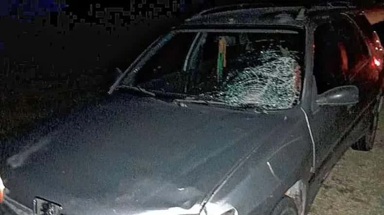 Fatalidad en ruta entrerriana: falleció una mujer que fue atropellada