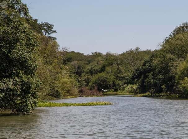 Impulsan un nuevo parque provincial en las islas del Río Uruguay