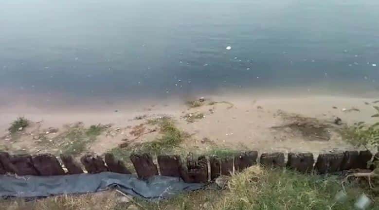 Denuncian "grave contaminación" en una playa entrerriana