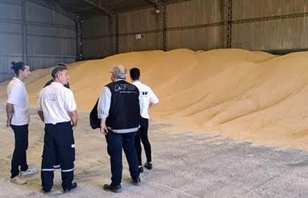 La AFIP evitó la exportación fraudulenta de 300 toneladas de maíz partido a Uruguay