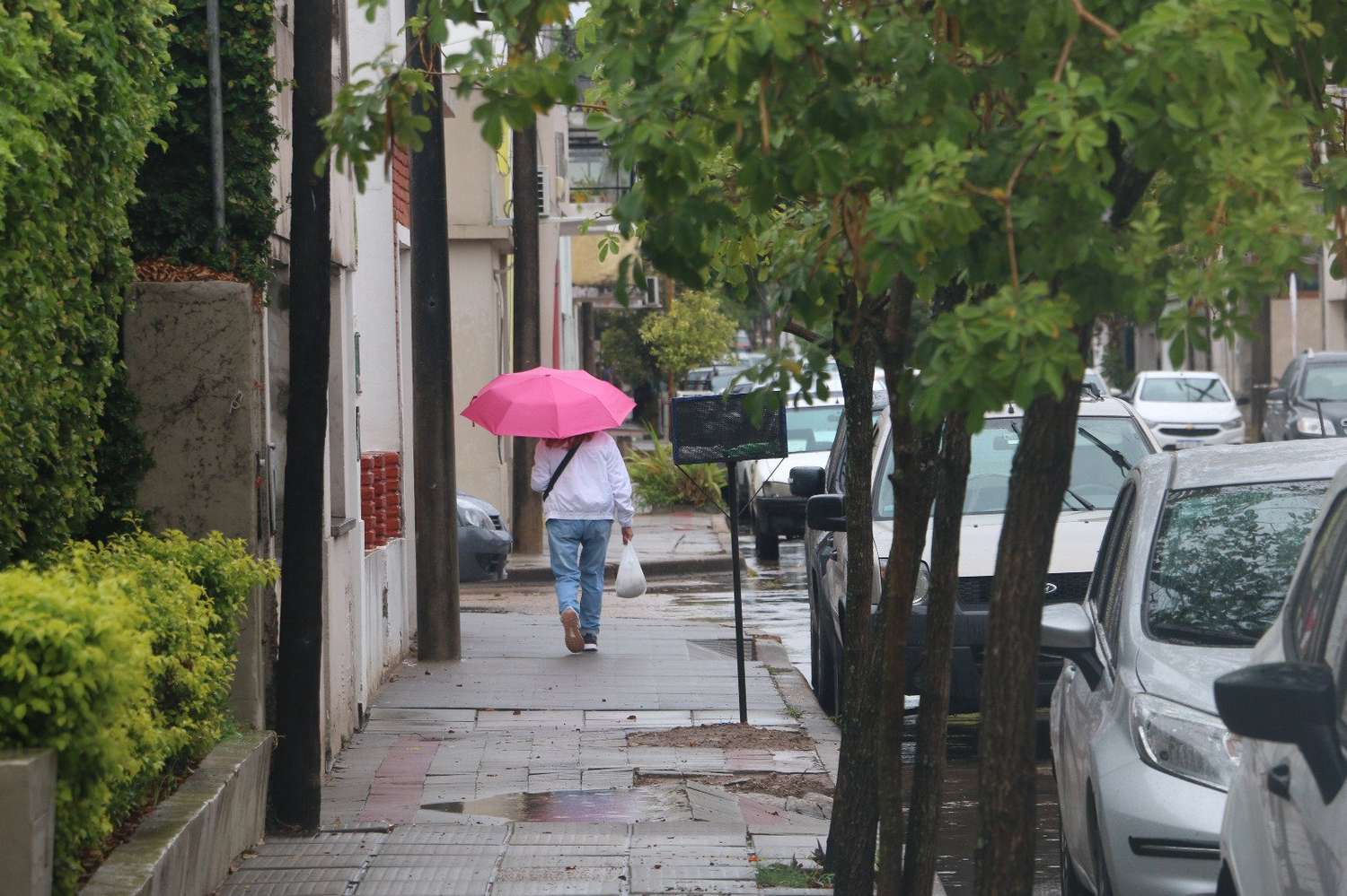 Alerta por tormentas fuertes en Gualeguaychú: a qué hora se larga, cuánto llueve y hasta cuándo