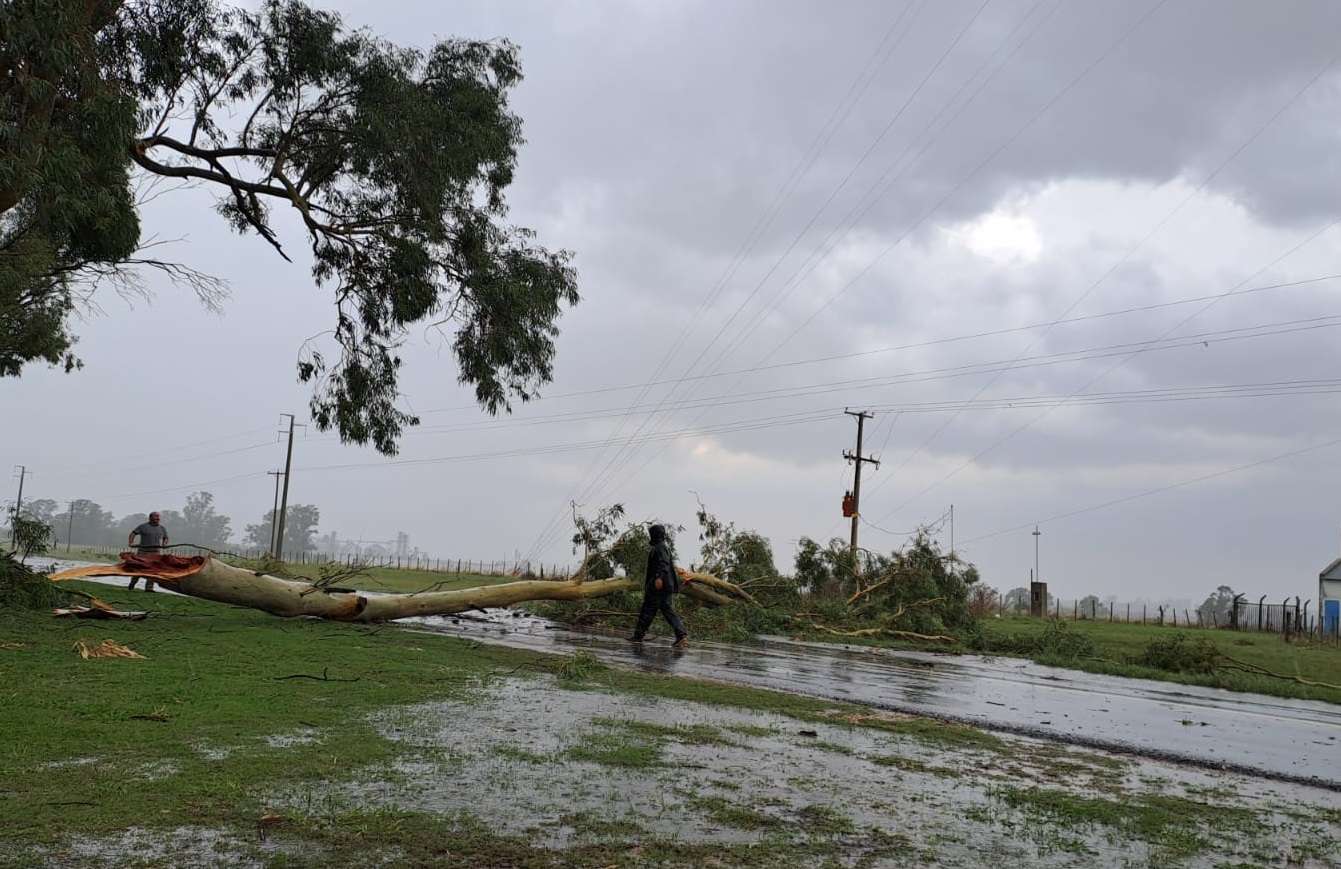 Tremenda tormenta en Urdinarrain: cayó granizo y volaron techos y ramas de árboles