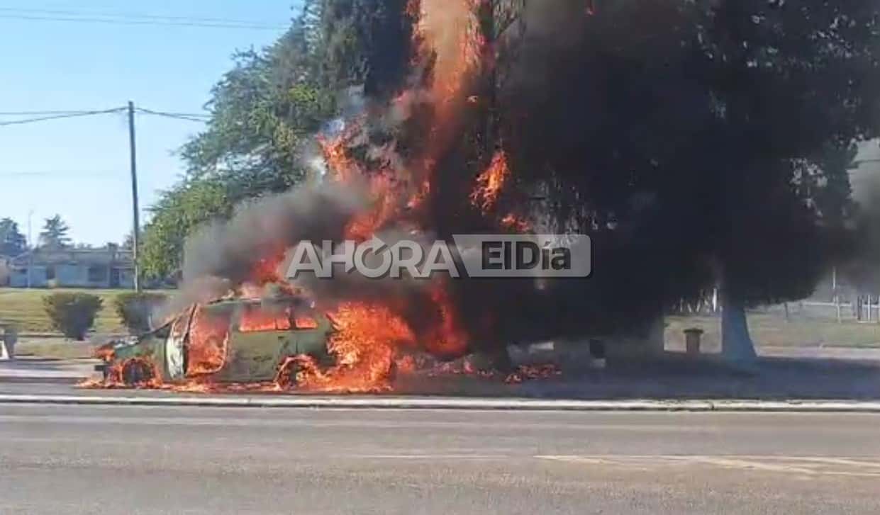 Video: se incendió una camioneta en la Curva de Fiorotto y tomó fuego un árbol
