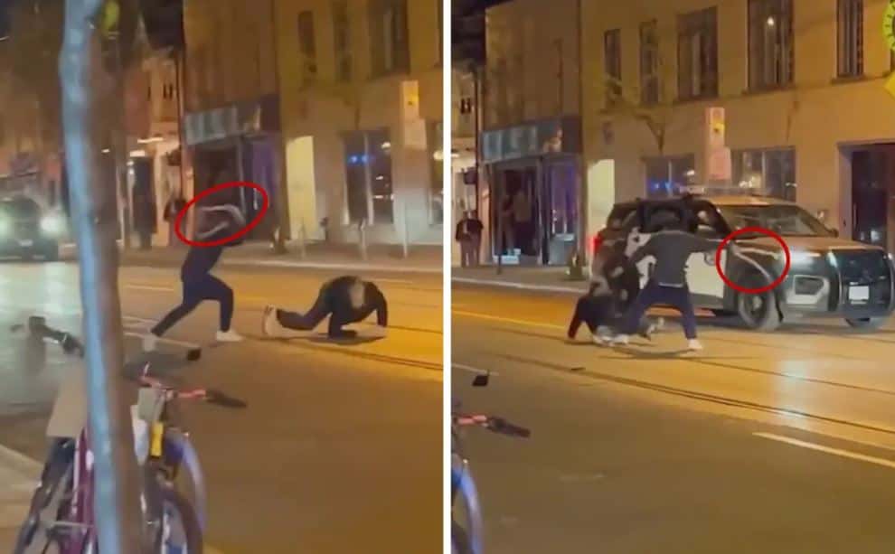 Un hombre golpeó con una serpiente a otra persona en una pelea callejera