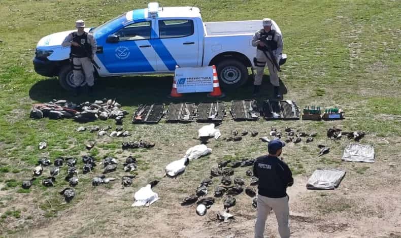 Una empresa de turismo realizaba caza ilegal de patos en el sur entrerriano
