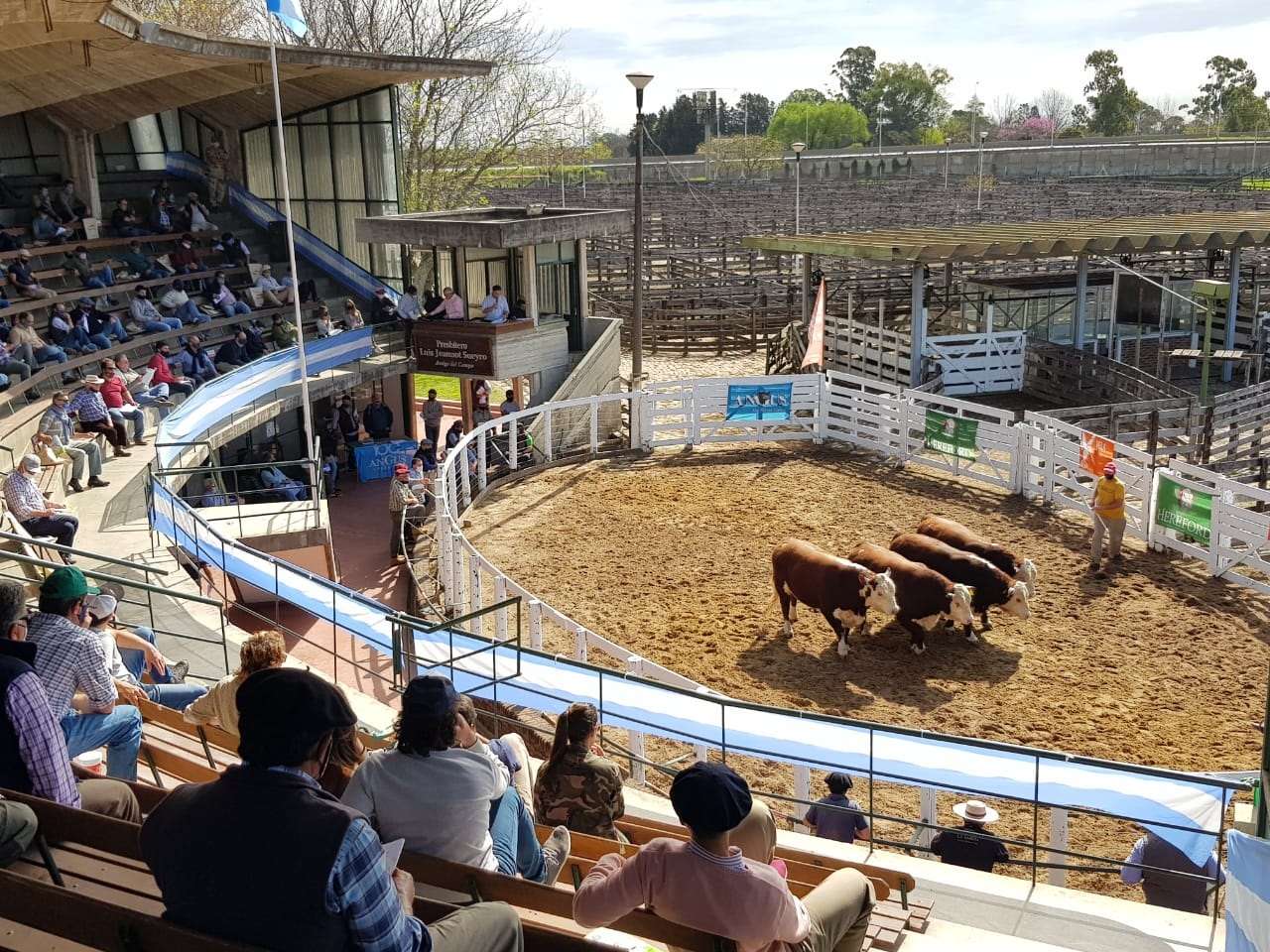 La carne vacuna volvió a aumentar y repuntó un 25% en Entre Ríos