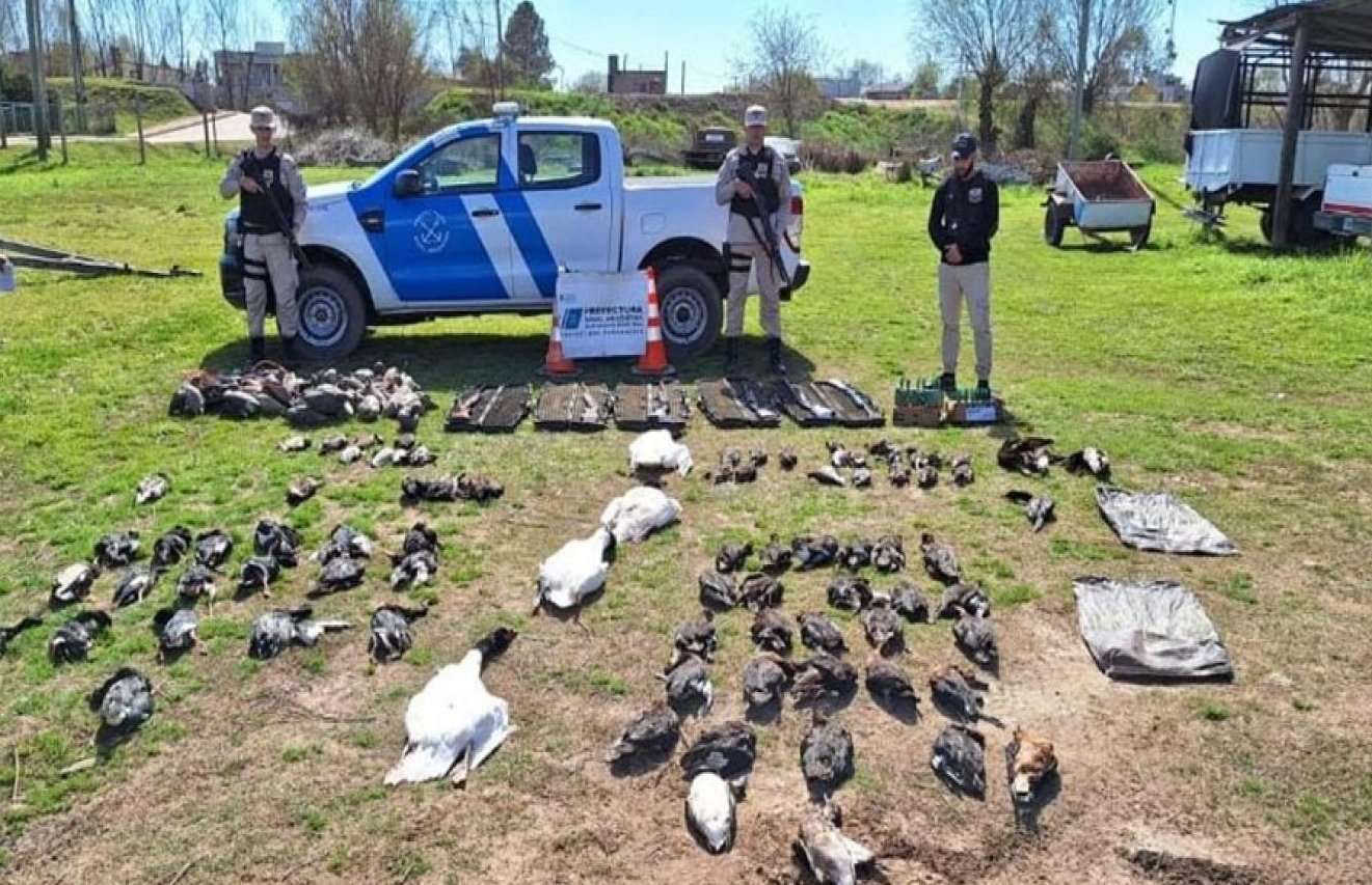 Interceptan a cazadores furtivos de Gualeguaychú y norteamericanos: tenían un arsenal y habian cazado 89 aves autóctonas