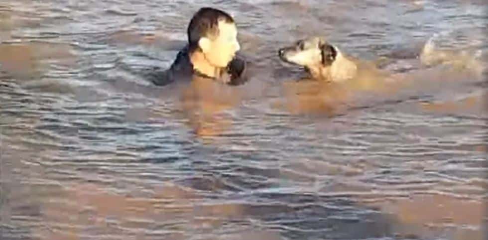 Un bombero entrerriano salvó a una perra que se ahogaba en el río Uruguay