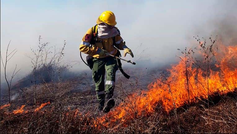 Los acusados de los incendios en el Delta del Paraná deberán afrontar un juicio oral y público