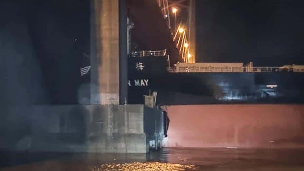 Un barco de gran magnitud sufrió la rotura del timón y chocó contra el puente Zárate-Brazo Largo