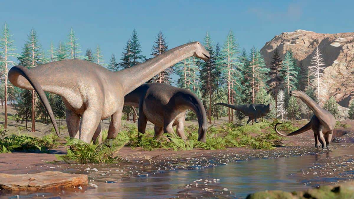 El Conicet halló una nueva especie de dinosaurio herbívoro de cuello largo. Foto: Gabriel Díaz Yanten
