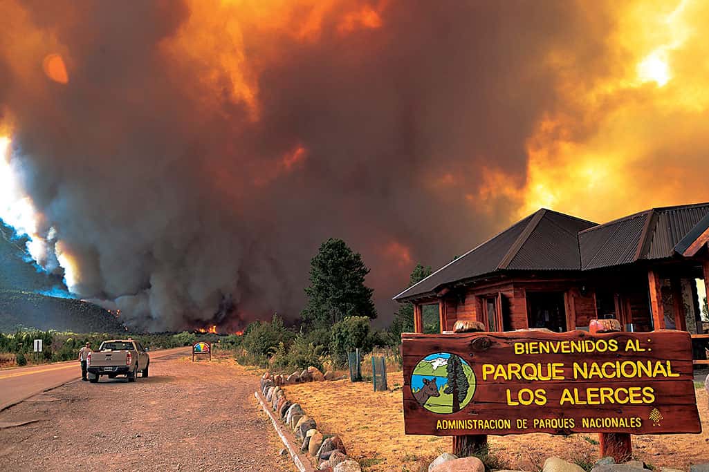Fuera de control: un incendio forestal arrasa desde hace días con el Parque Nacional Los Alerces