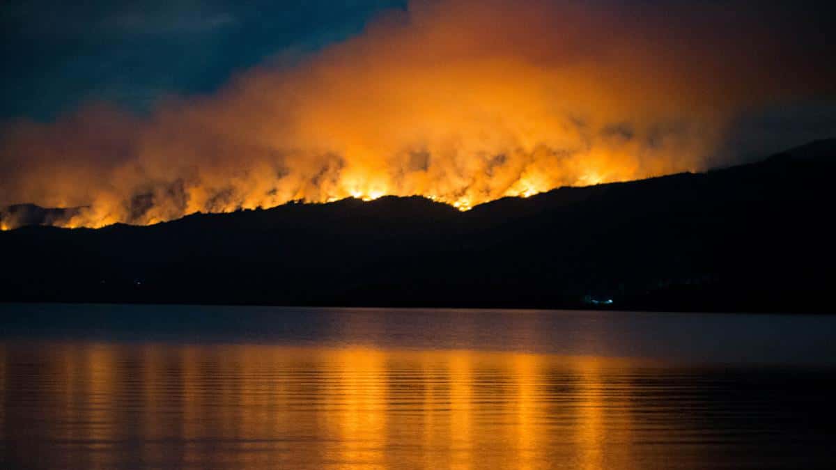 El incendio en el Parque Los Alerces comenzó hace una semana. Foto: Martin Levicoy.