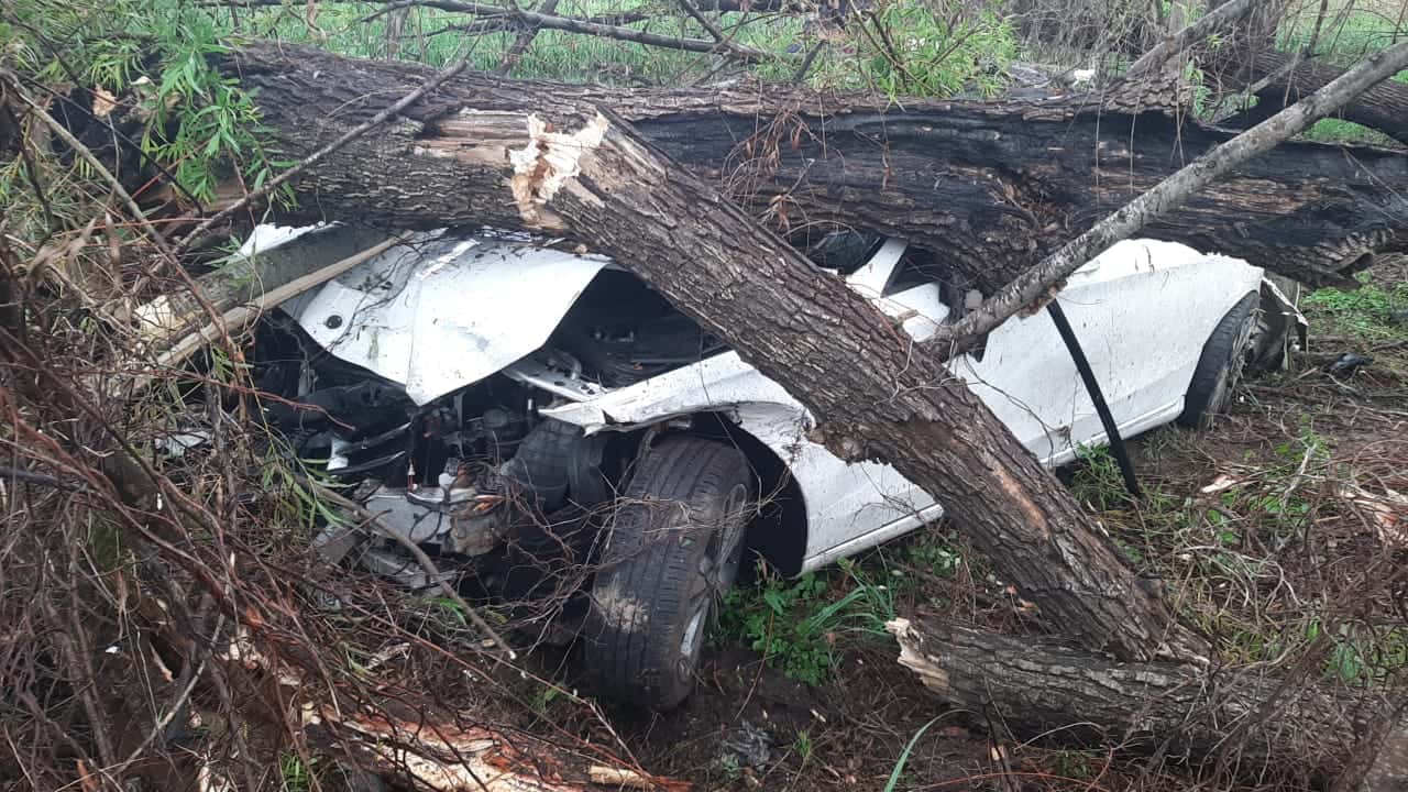Ruta 12: un auto despistó y terminó incrustado en los árboles