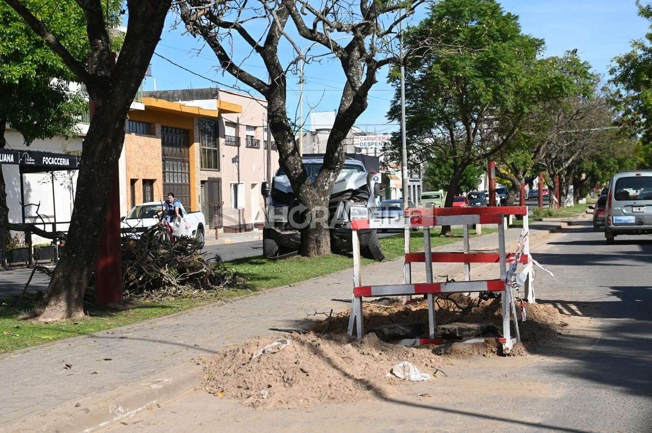 Una camioneta chocó contra un árbol en la Luis N. Palma
