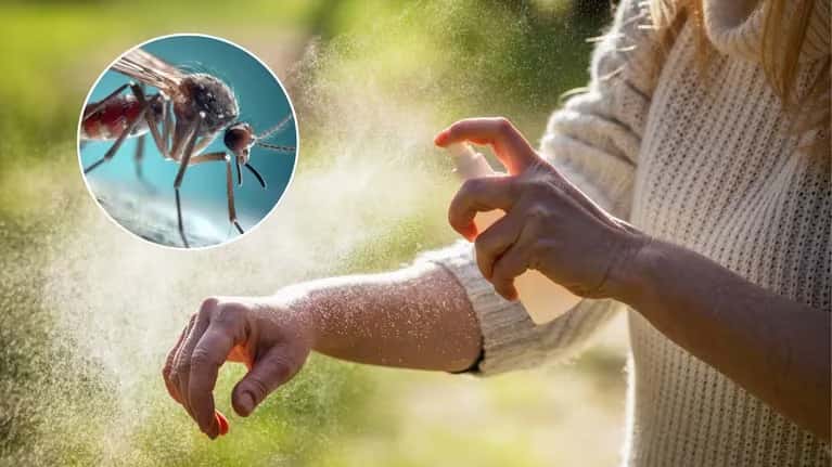 Dengue: el Gobierno habilitó la importación de repelentes