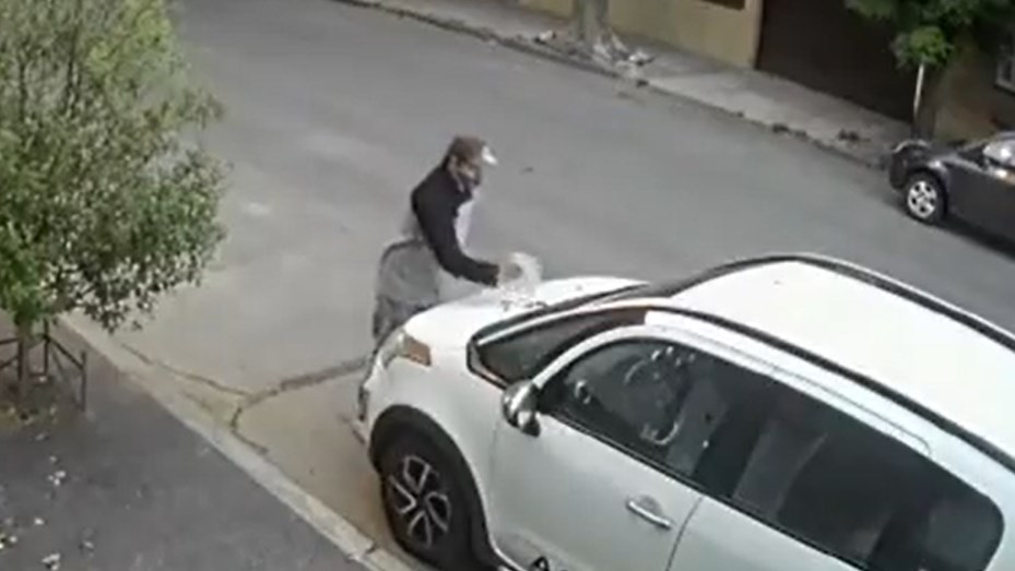 Video: Levantó la caca de su perro y la tiró en un auto