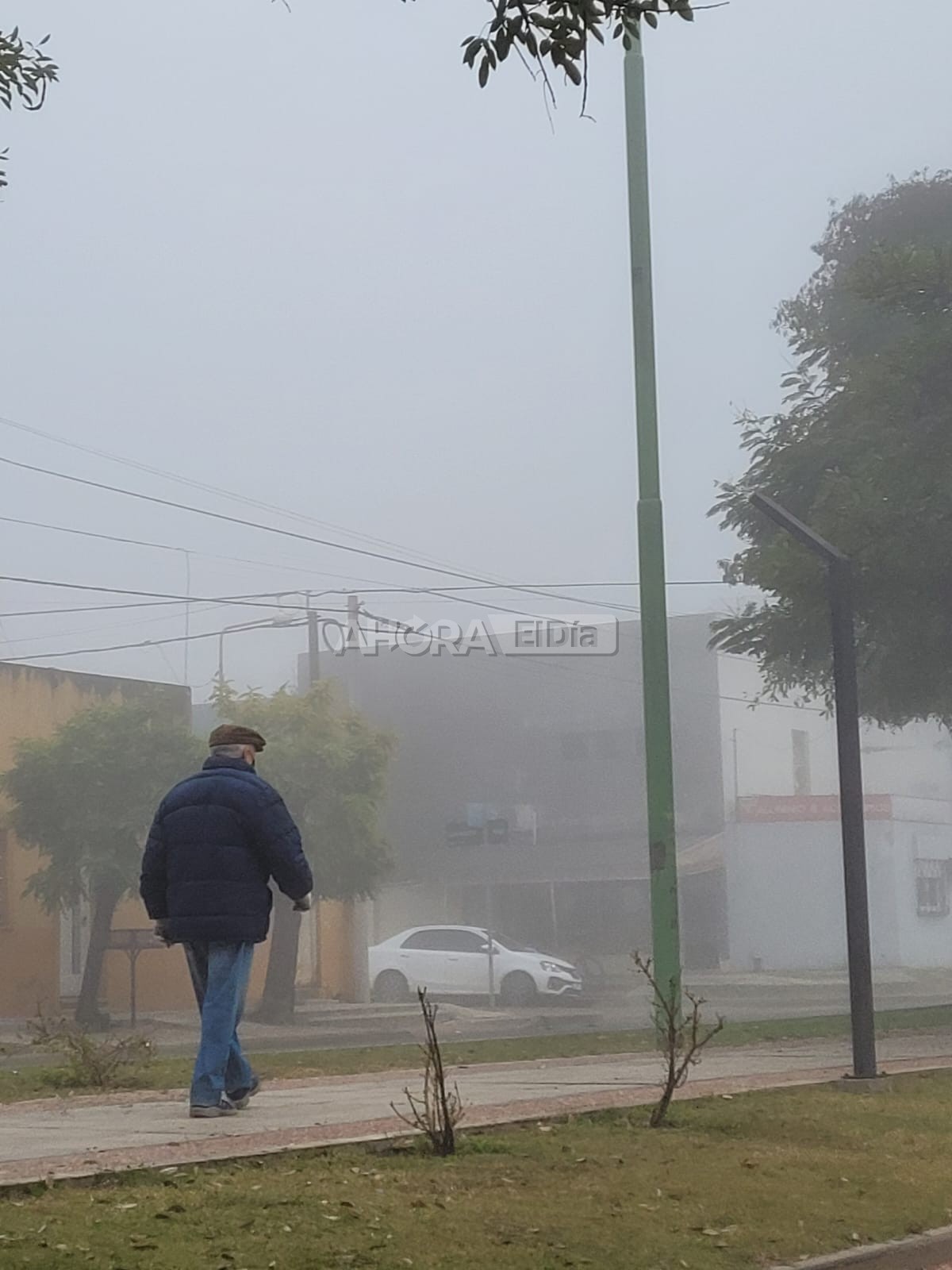 Rige un alerta violeta por niebla en Entre Ríos – El Día de Gualeguaychú