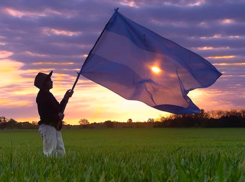 Cómo regulan Brasil, Uruguay y Paraguay la compra de campos por extranjeros y qué cambia el proyecto de Milei