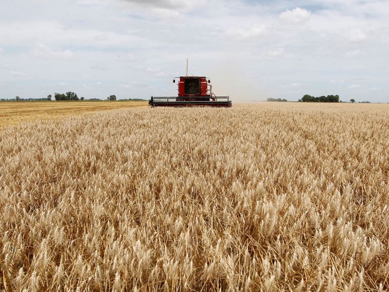 Baja de las retenciones: tras el anuncio, el campo espera más siembra y alivio fiscal