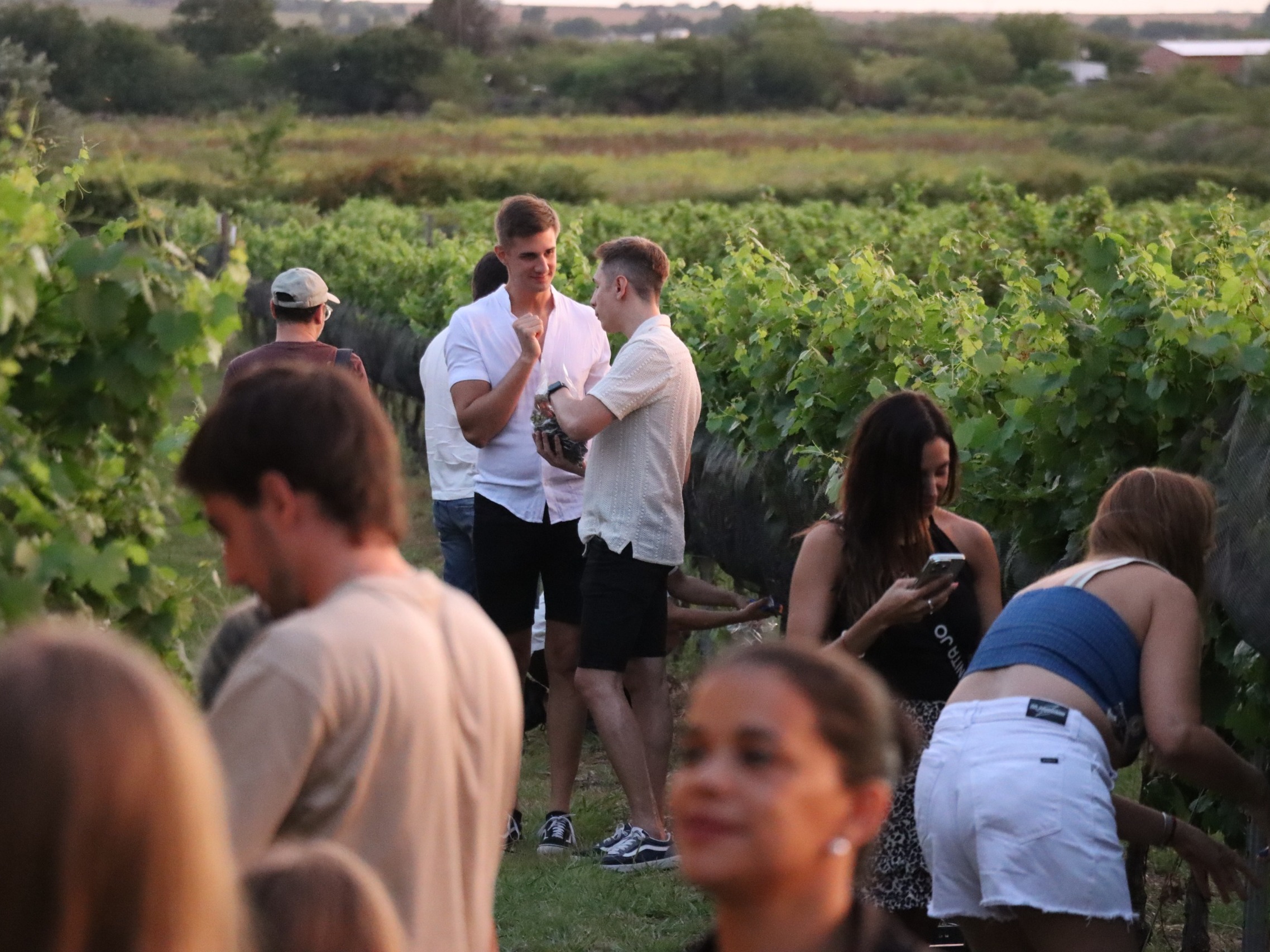 El programa Camino del Vino fortaleció la oferta turística con la vendimia abierta al público en la bodega Las Magnolias
