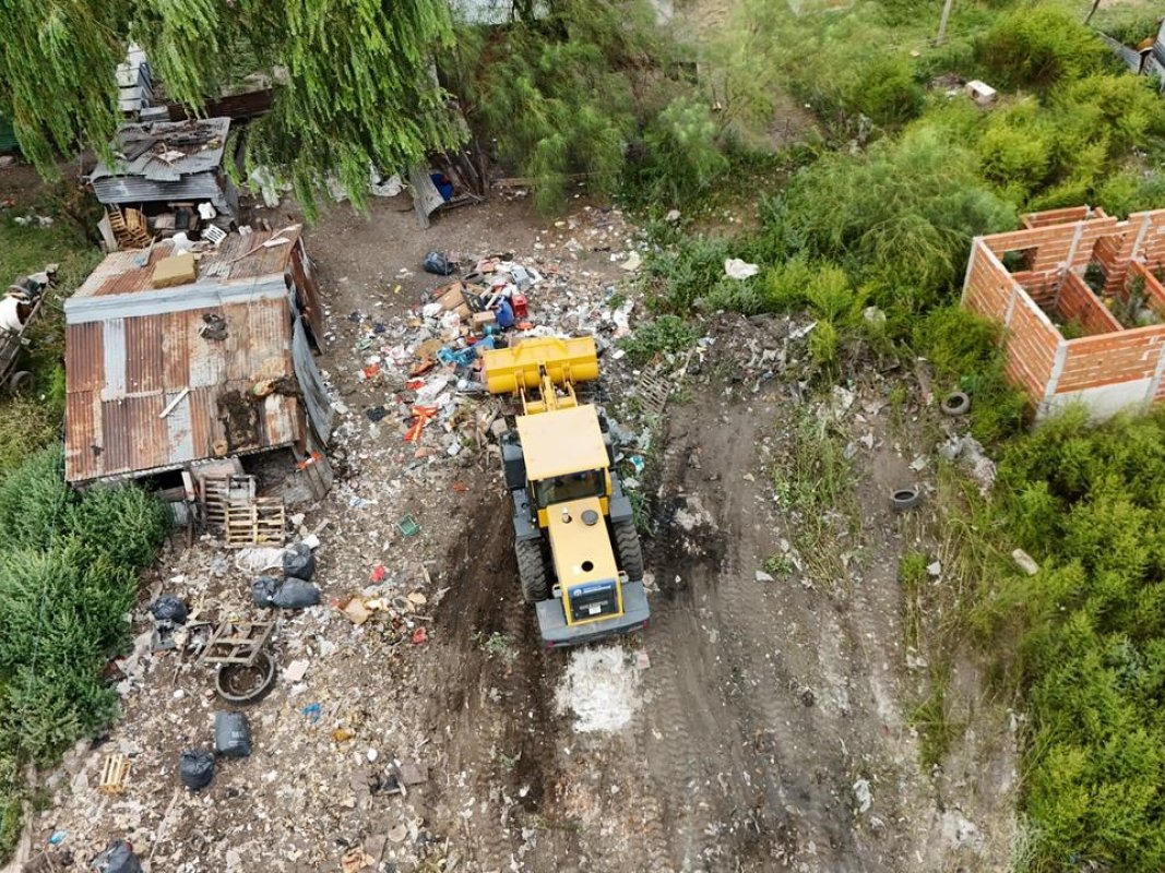 El Municipio erradicó un criadero de chanchos que funcionaba dentro de la ciudad