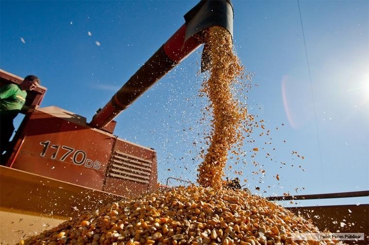 Bunge fue la multinacional que más granos exportó en el primer semestre de 2026