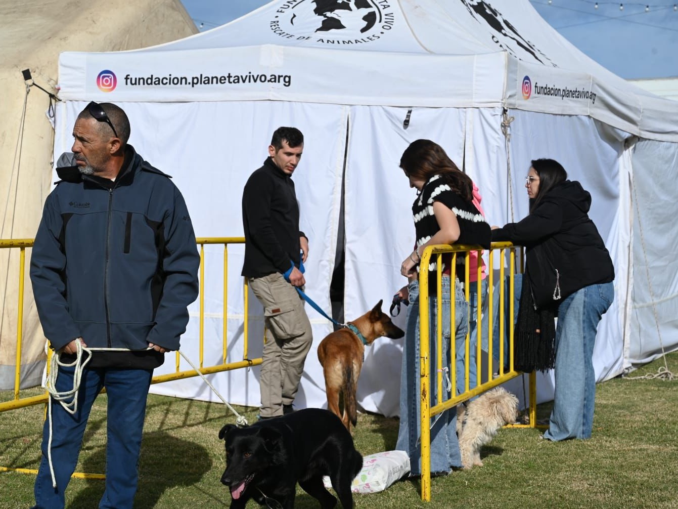 Se acercan a las 10.000 las castraciones gratuitas de perros y gatos en la ciudad