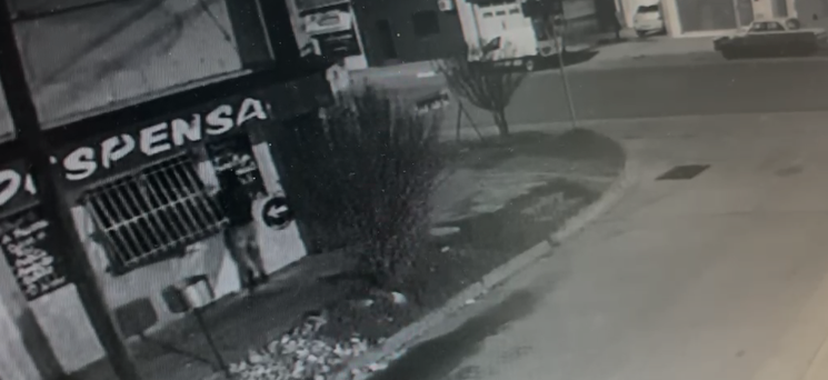 Impresionante: un hombre robó en una despensa y la cámara capto el momento en que huía y arrancaba la reja de un tirón