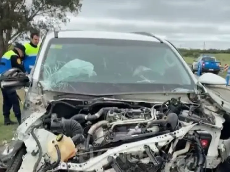 Un perro suelto provocó un violento choque entre una camioneta y un camión en el tramo sur de la Ruta Nacional Nº 14