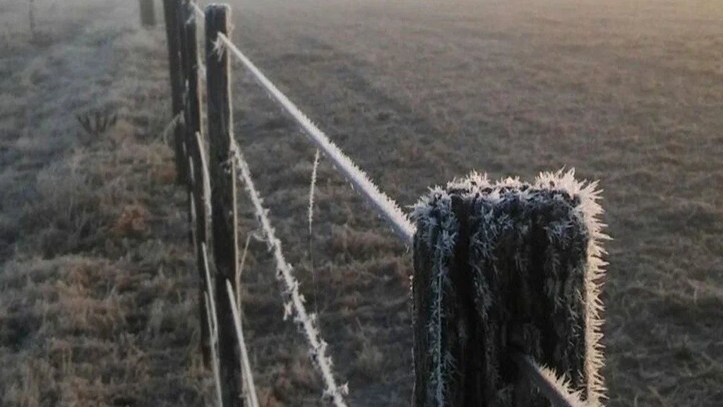 Pronostican heladas con temperaturas de hasta -5 grados en los campos entrerrianos