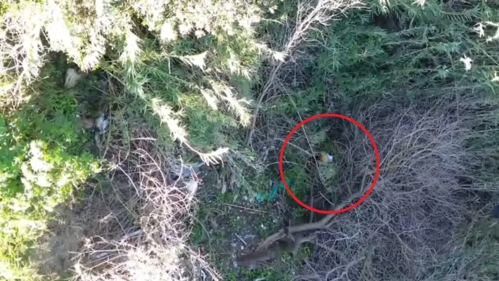 Persiguieron con un drone a un peligroso delincuente y lograron atraparlo en un arroyo