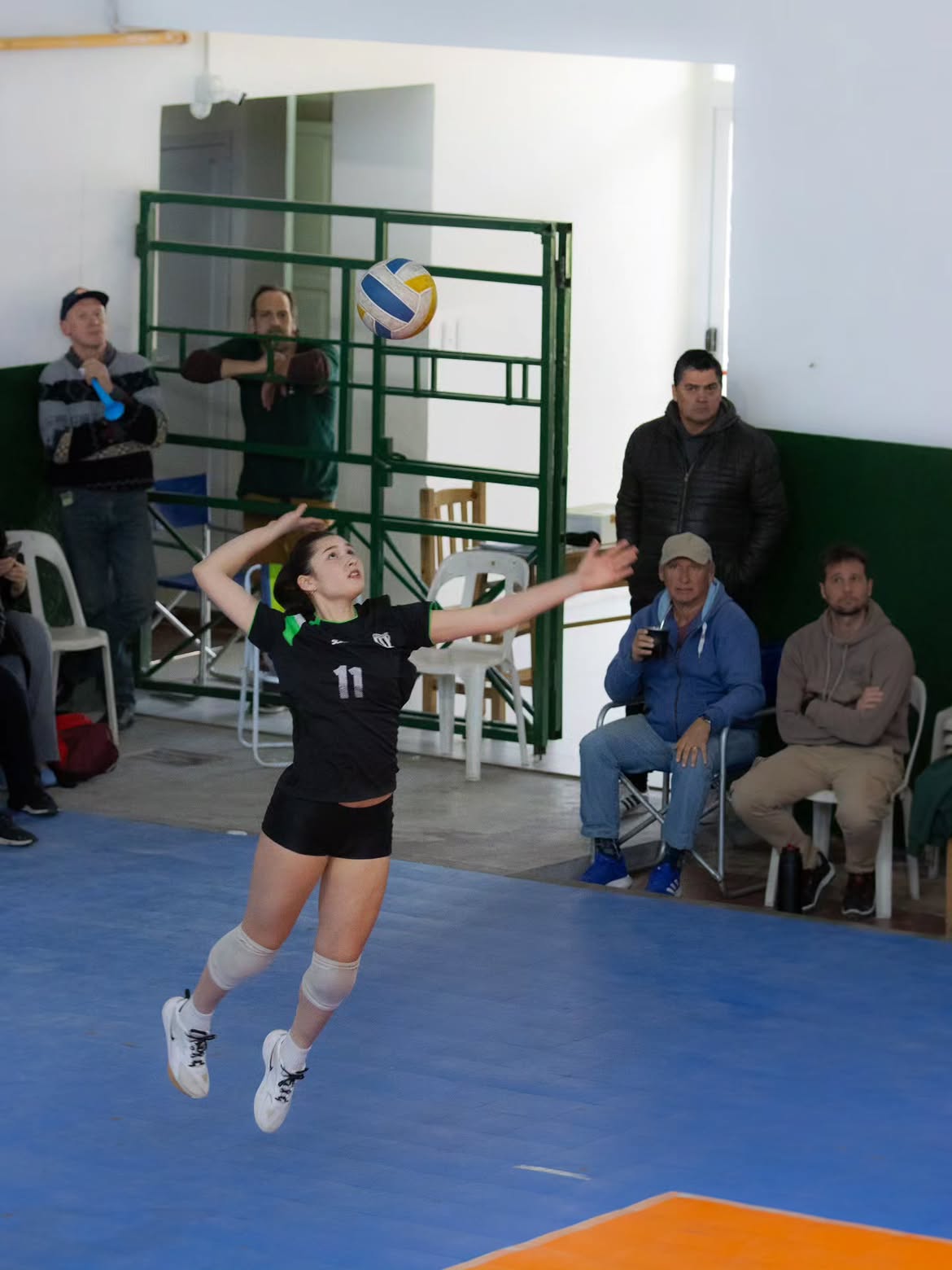 Voley
